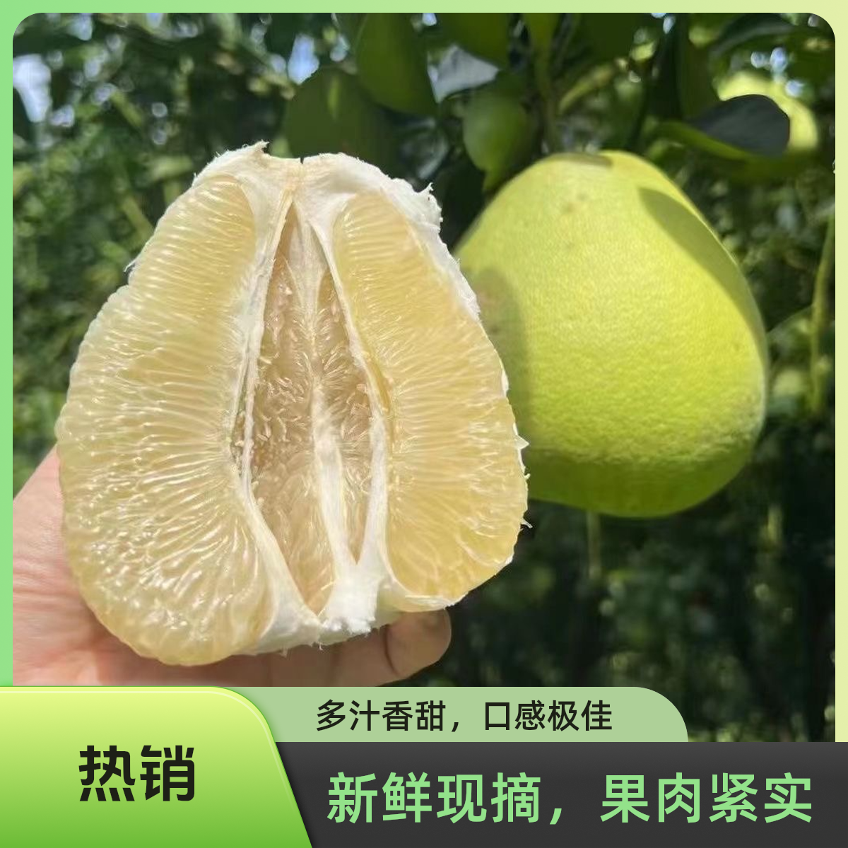 云南西双版纳翡翠蜜柚东试青柚应季新鲜水果整箱包邮