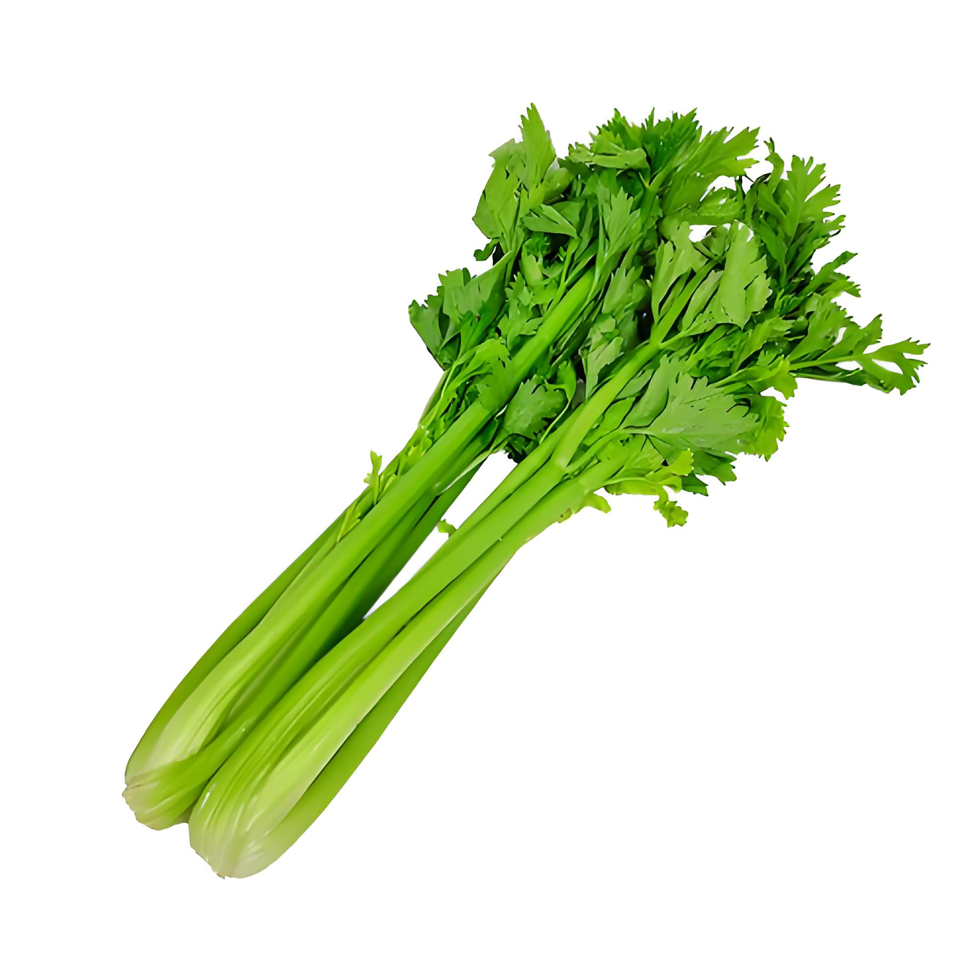 【小西芹】河南农家自种玻璃脆芹菜西芹带叶发货