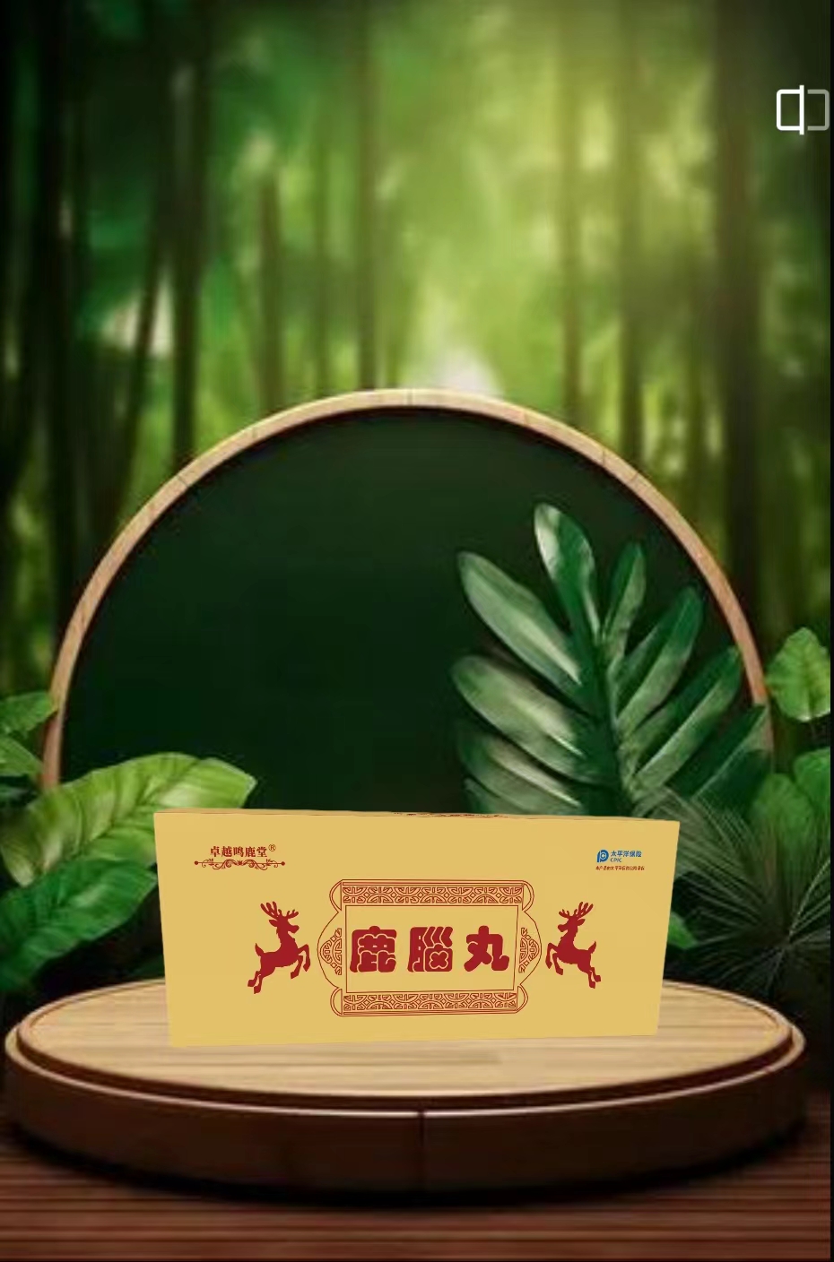 鹿脑丸          1