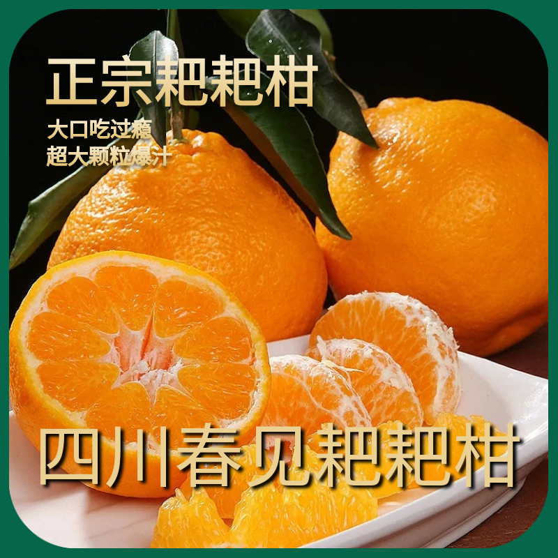 四川春见耙耙柑粑粑柑杷杷柑正宗水果新鲜整箱当季丑桔橘包