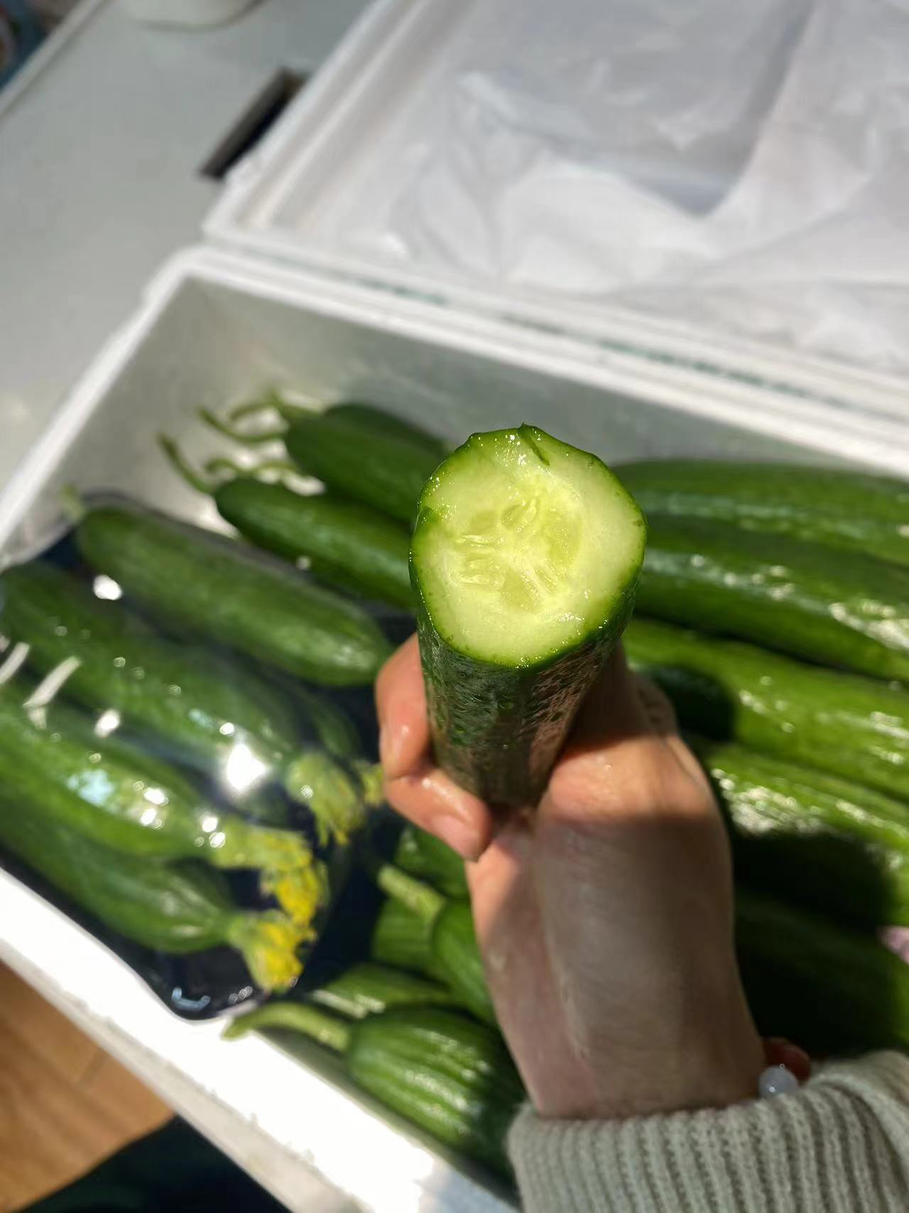 水果小黄瓜4根黄瓜同城送