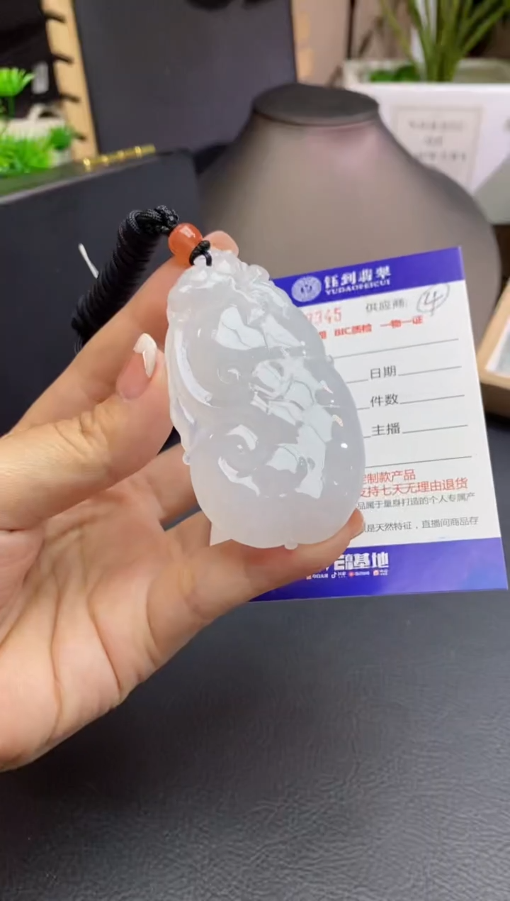 【闪购商品】翡翠颈饰未镶嵌48小时鉴赏