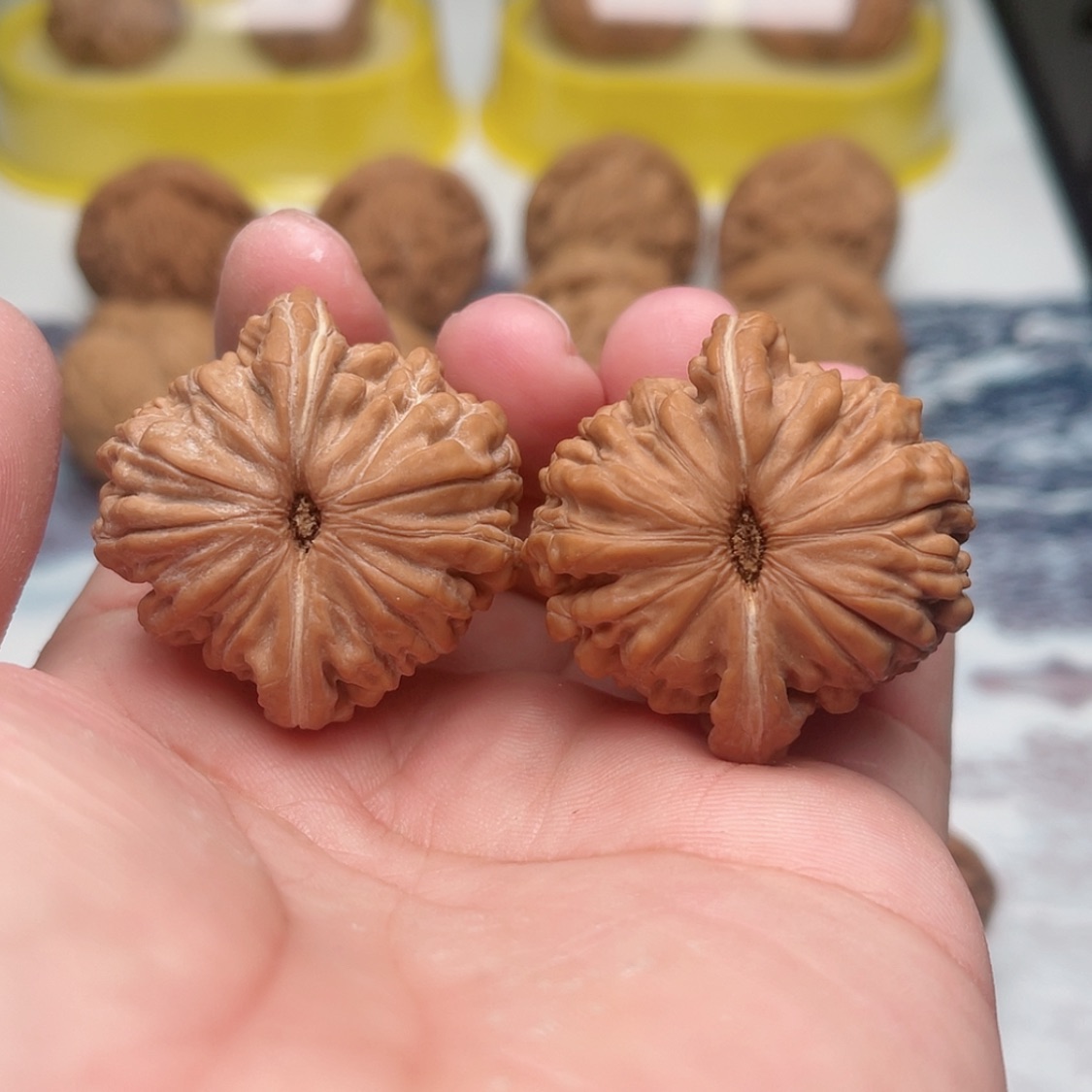 【闪购商品】文玩核桃把件3609