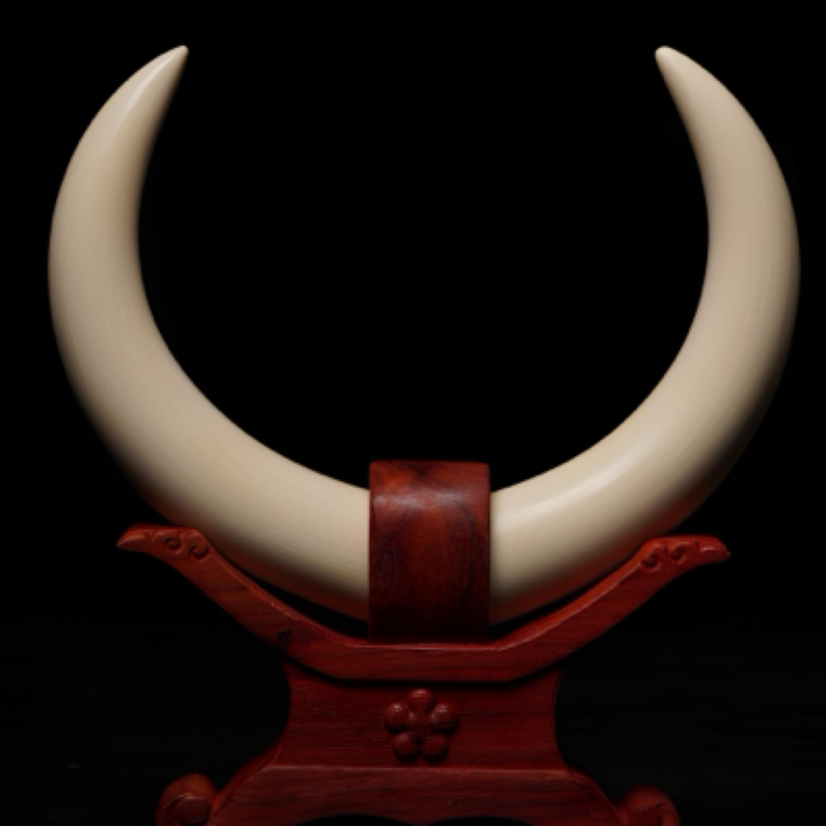 【直播间商品】会所别墅客厅猛犸纯肉素牙酒店装饰花器小对摆