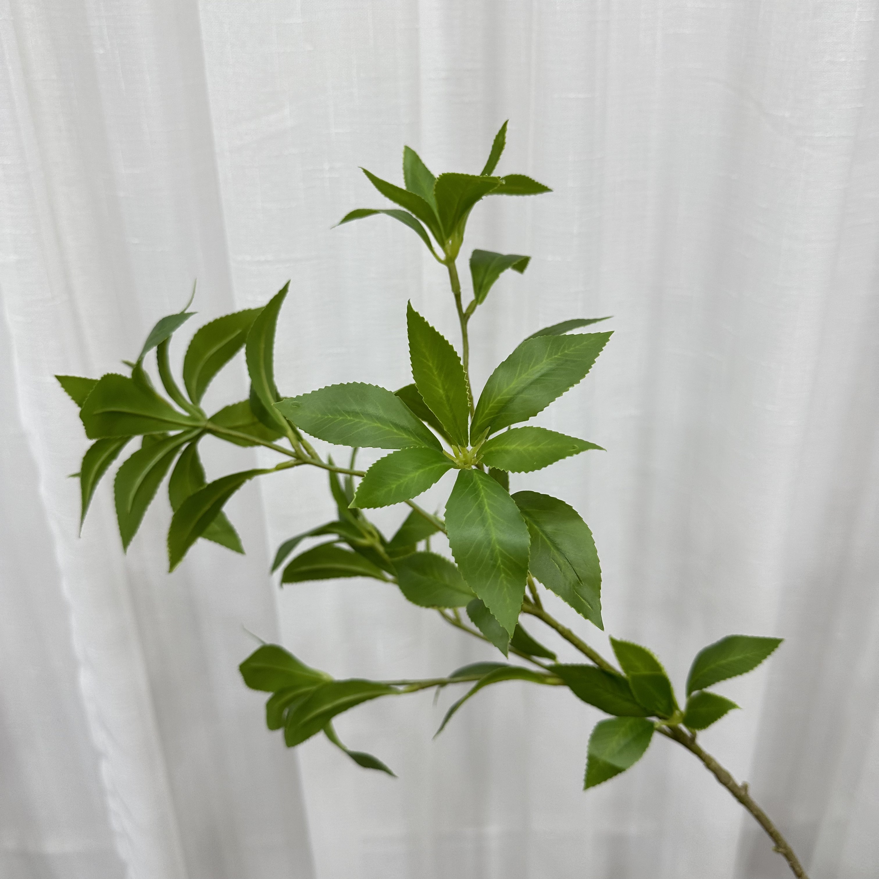 仿真马醉木绿植清新绿叶摆放工艺花艺软装北欧风仿真绿植