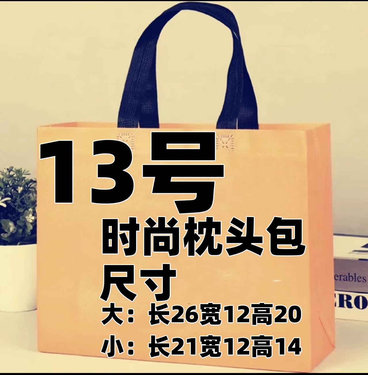 13号 W经典枕头包气质百搭