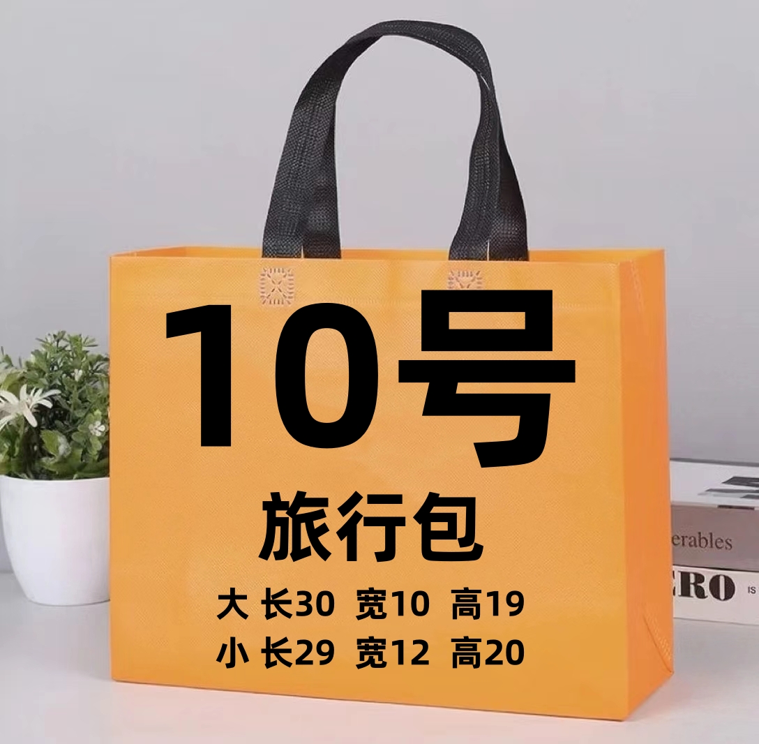 10号 w 手提旅行包