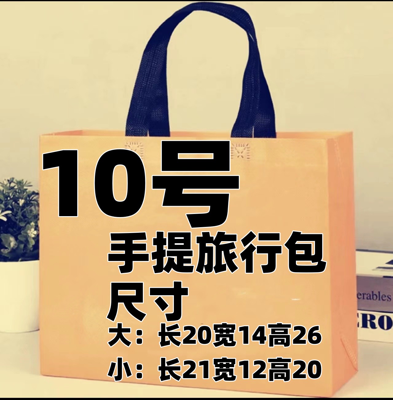 10号W 手提旅行包大容量经典百搭