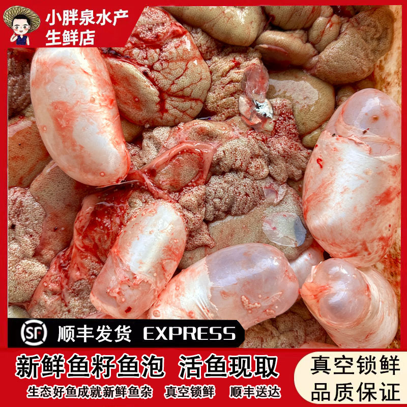 生态湖区鲜鱼鲤鱼鱼杂新鲜鱼籽鱼泡鱼白鱼肠鱼宝顺丰发货