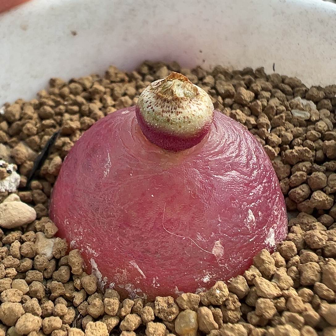 654灯泡1111111111111