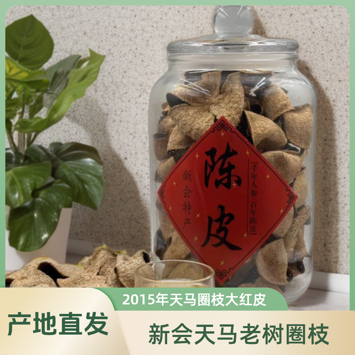 高货【2015年天马】新会天马老树圈枝大红皮产地直发