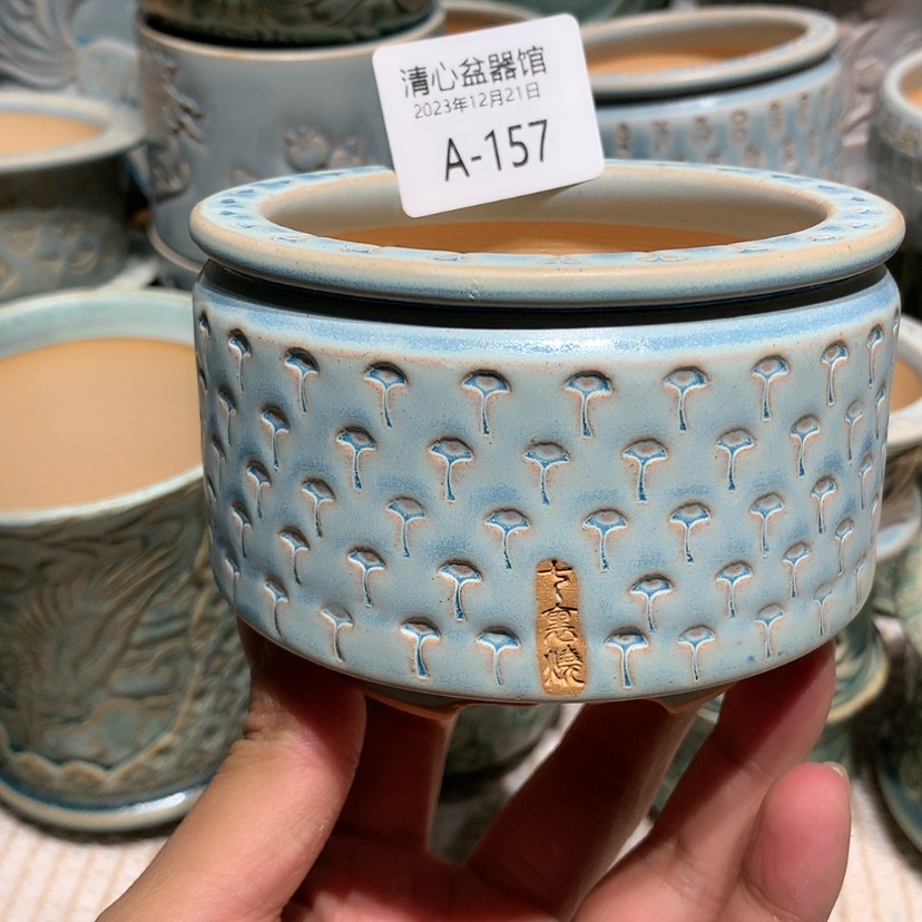 【闪购商品】瓷12-21-157口径8.5