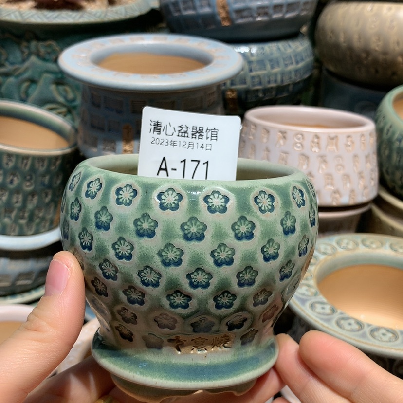 【闪购商品】瓷12-14-171口径6.5