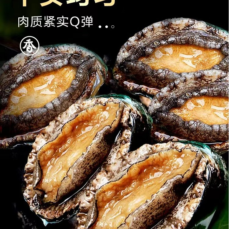 10头规格鲍鱼5.5-6.5cm 海鲜水产速冻锁鲜鲍鱼 到手18+2共20只