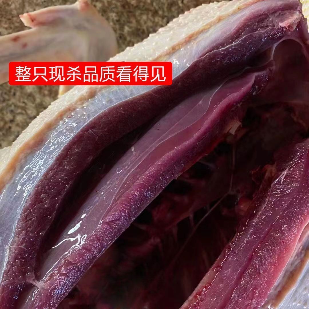 4只现杀现宰青头鸭肉（主播现选）