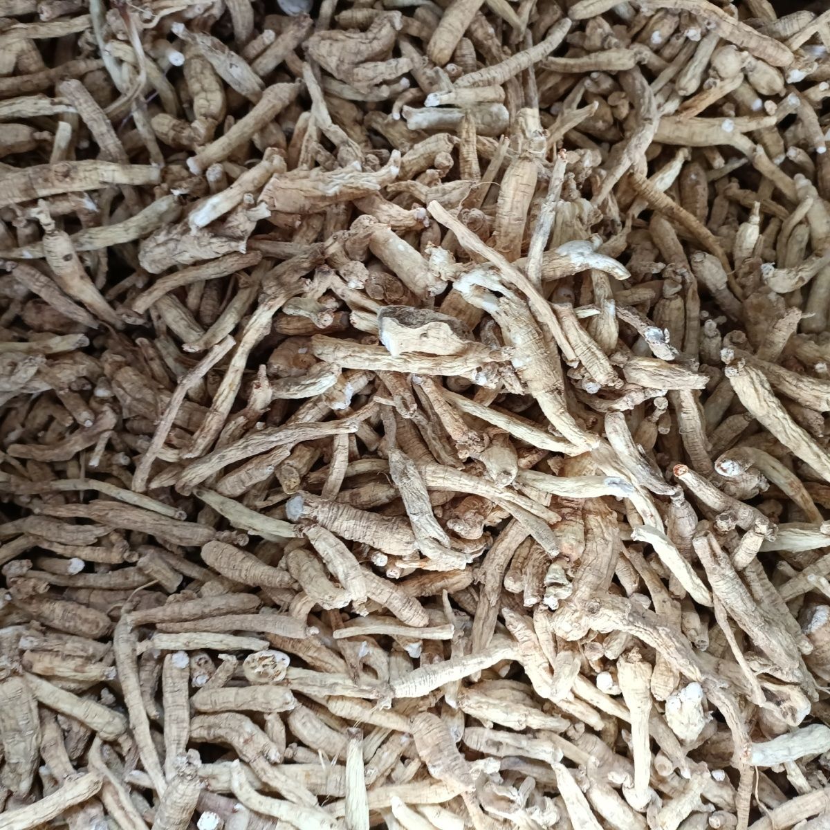 长白山/人参/滋补佳品/不完整人参/实惠款/【500g】