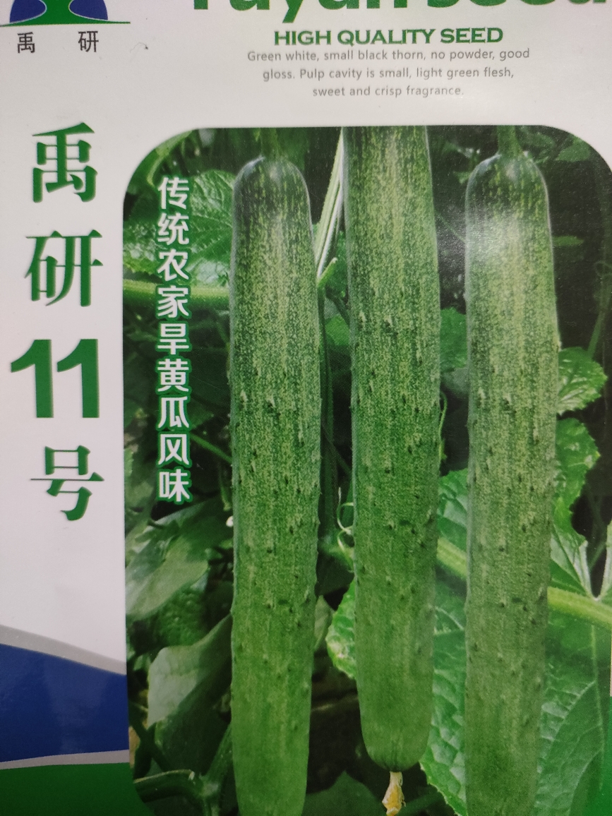 禹研11号黄瓜种子