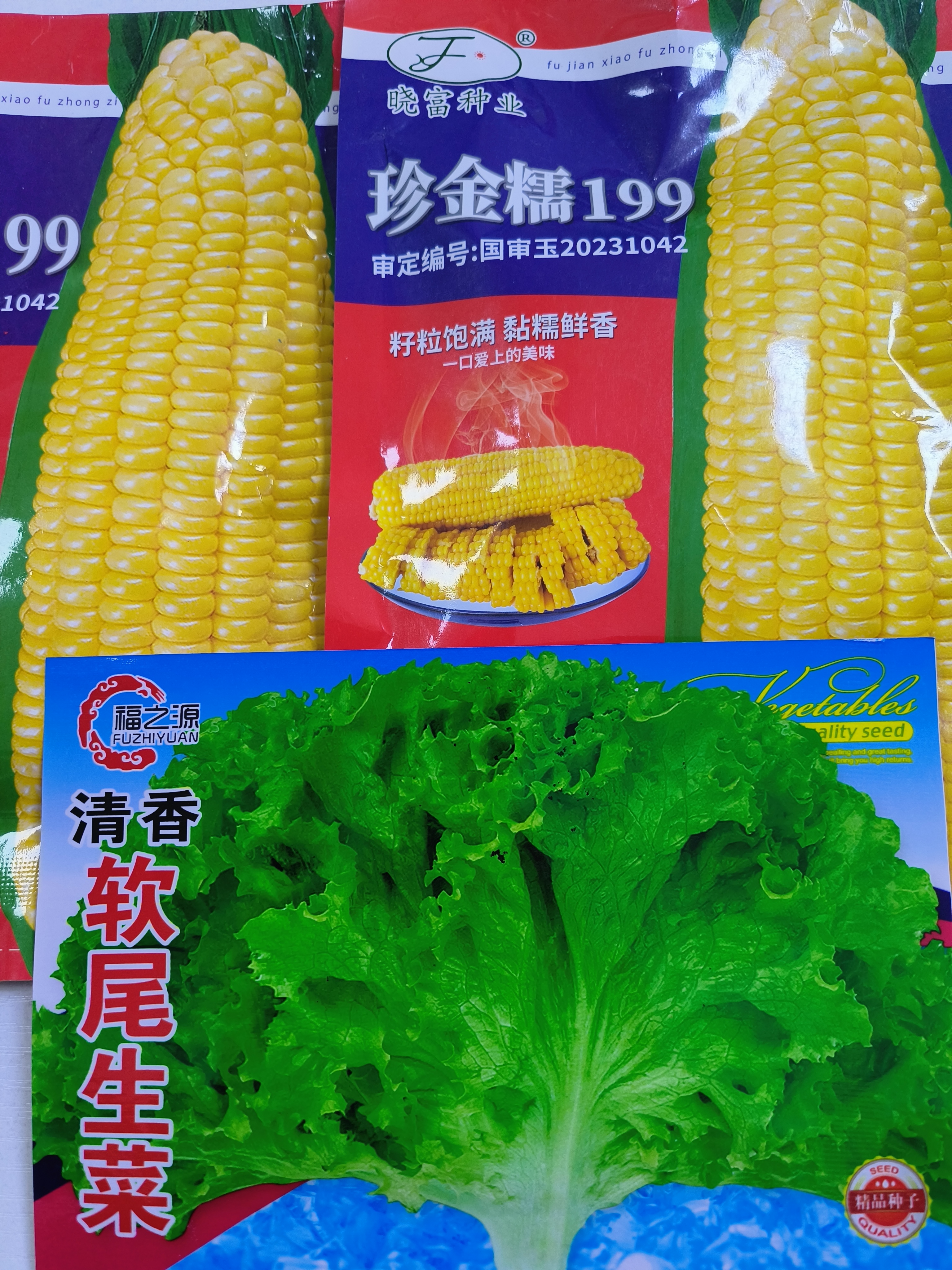 （珍金糯199）拍2袋送软尾生菜种子