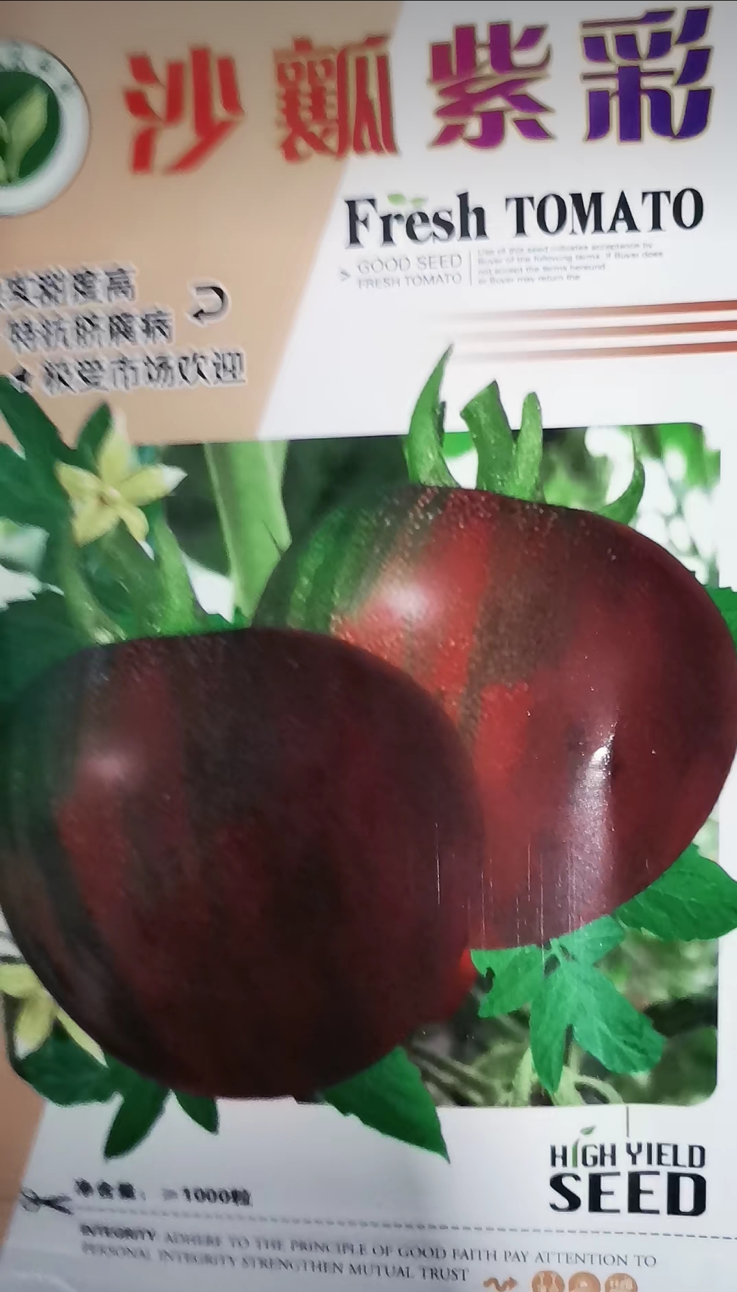 沙瓤紫彩番茄种子