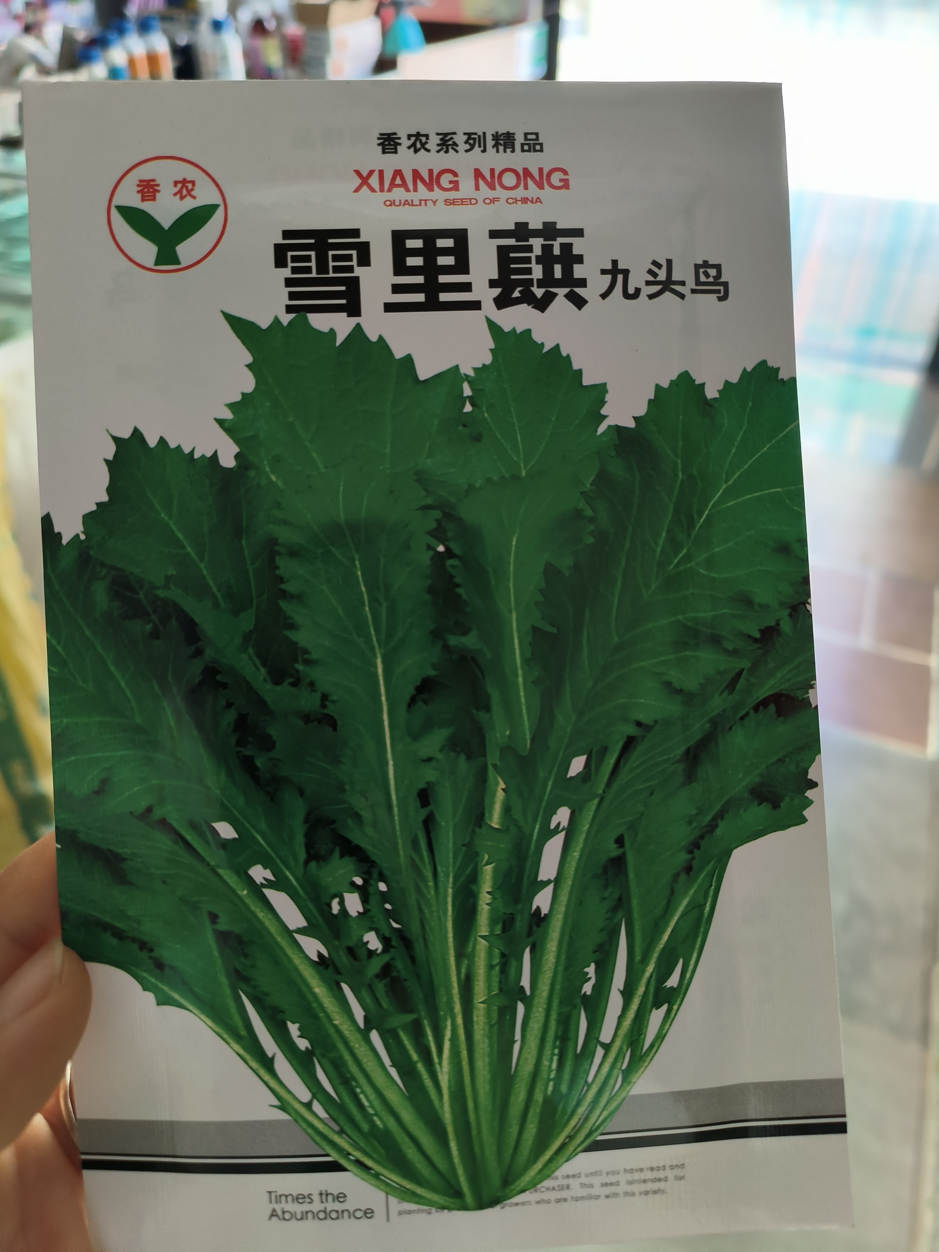 雪里红精品种子大叶