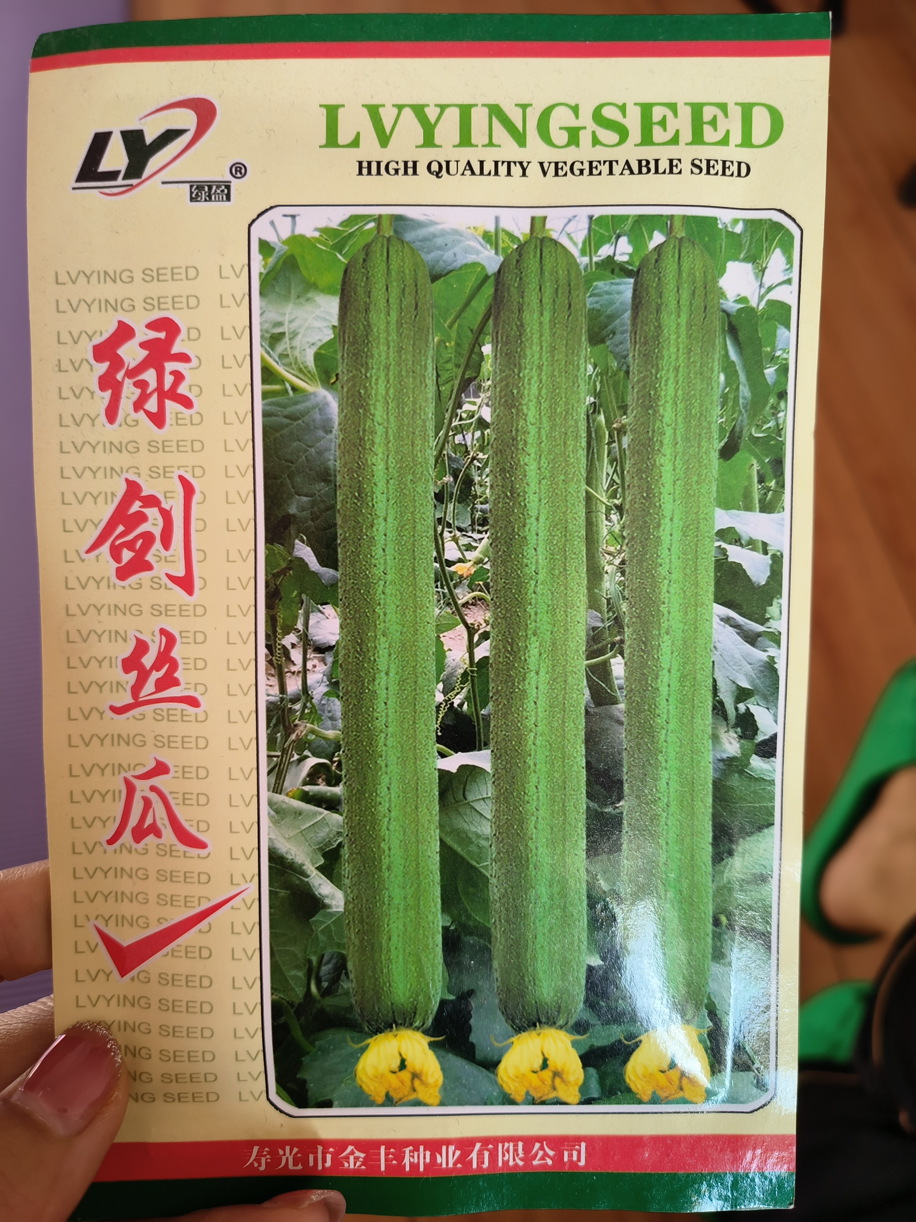 杂交绿剑丝瓜种子