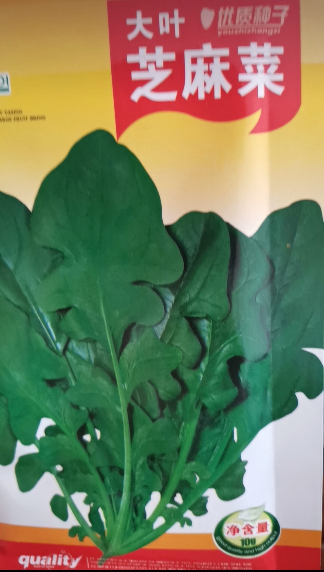 东北小菜园精品臭菜种子