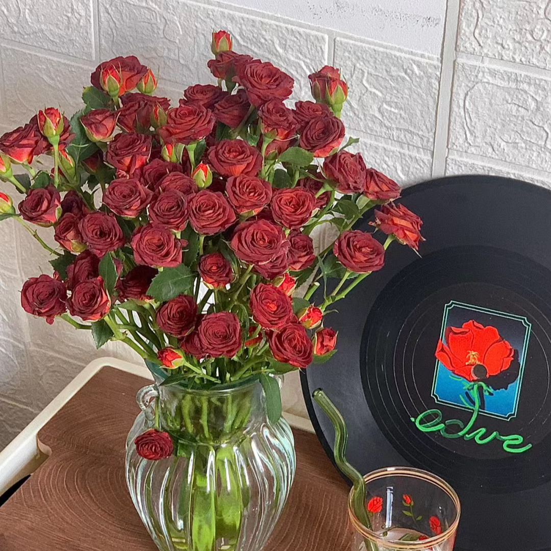 巧克力多头泡泡玫瑰鲜花云南基地直发--到货先醒花