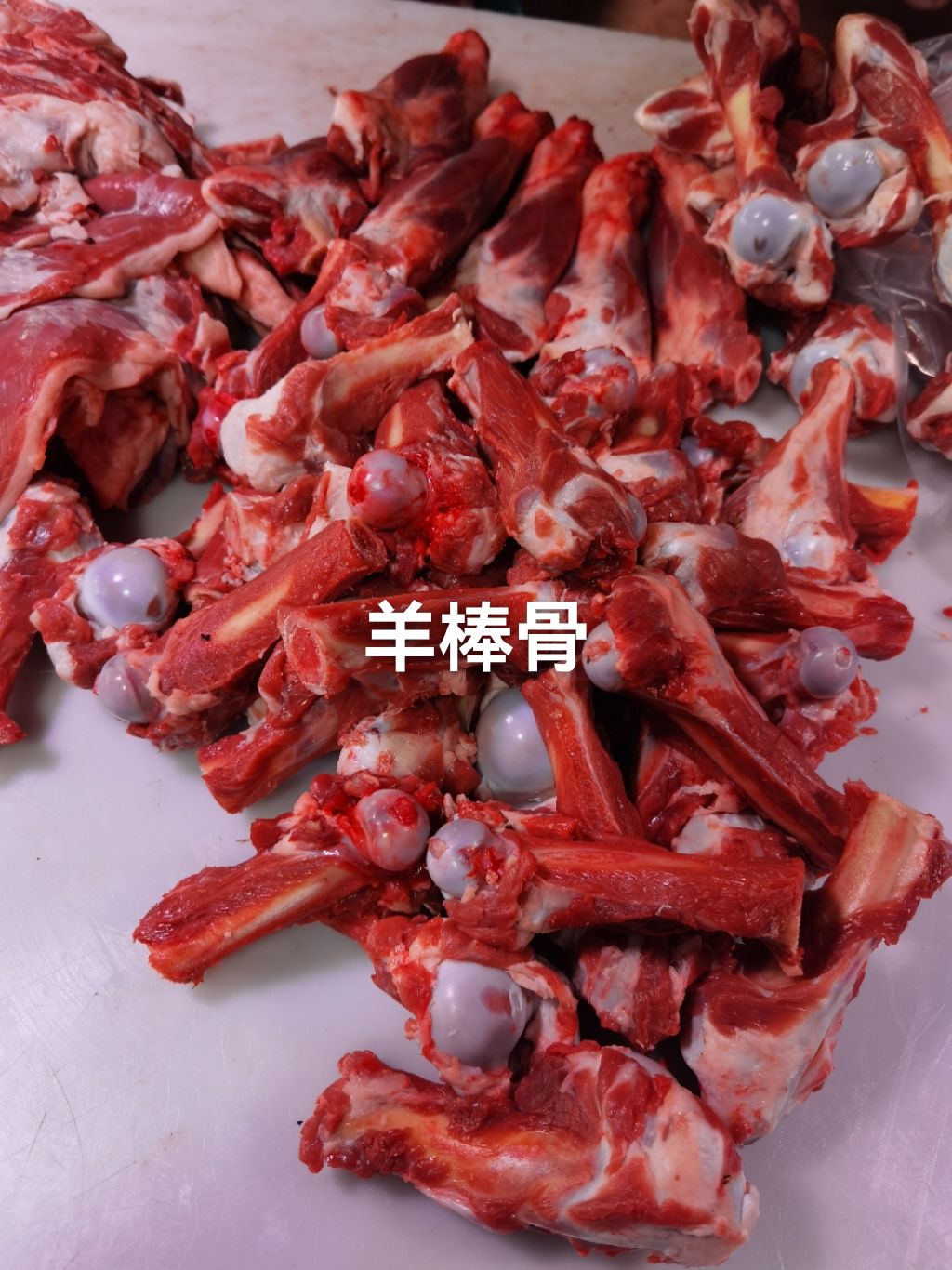 内蒙草原溜达羊   羊棒骨