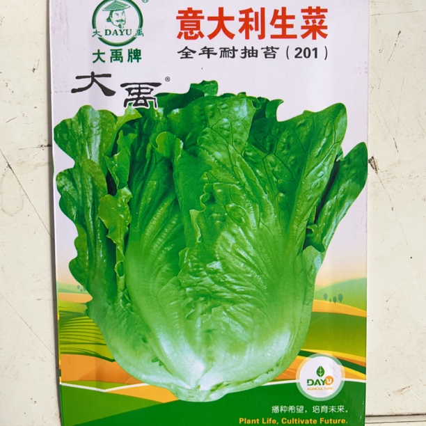 （拍二发三）优质各类蔬菜种子四季阳台盆栽