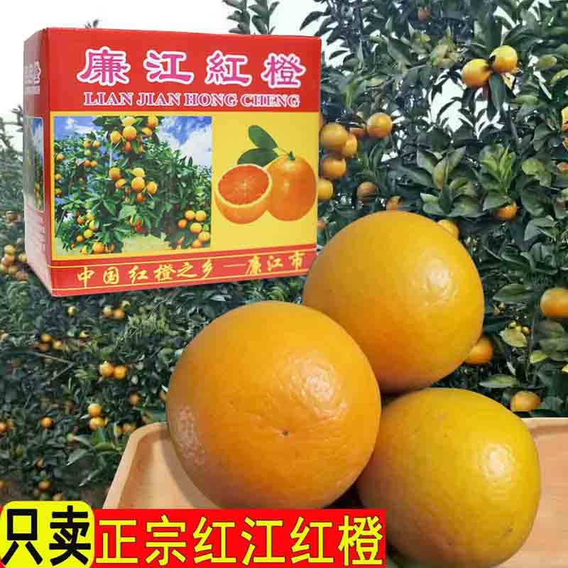 正宗廉江红橙红江橙新鲜当季水果现摘手剥薄皮红江农场甜橙子10斤