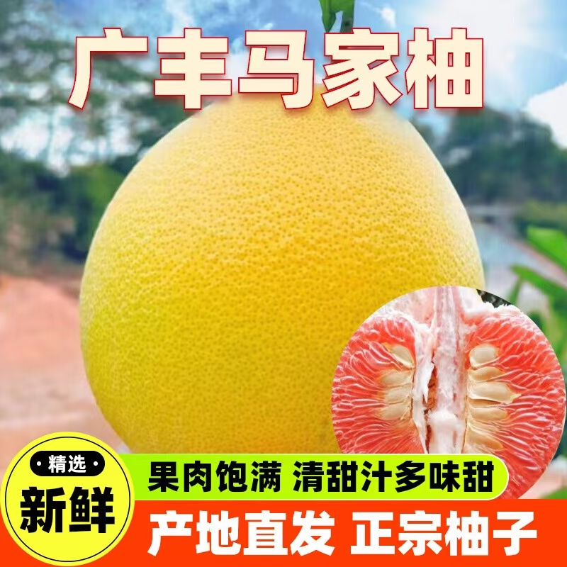 正宗上饶广丰马家柚红心蜜柚果肉饱满汁水充足脆爽清甜柚子皮新鲜