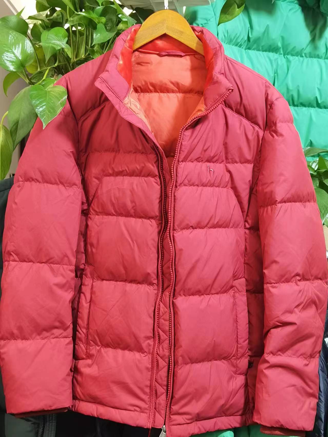 棉服短款男款运动休闲轻薄保暖立领冬季蓝色时尚百搭户外男士