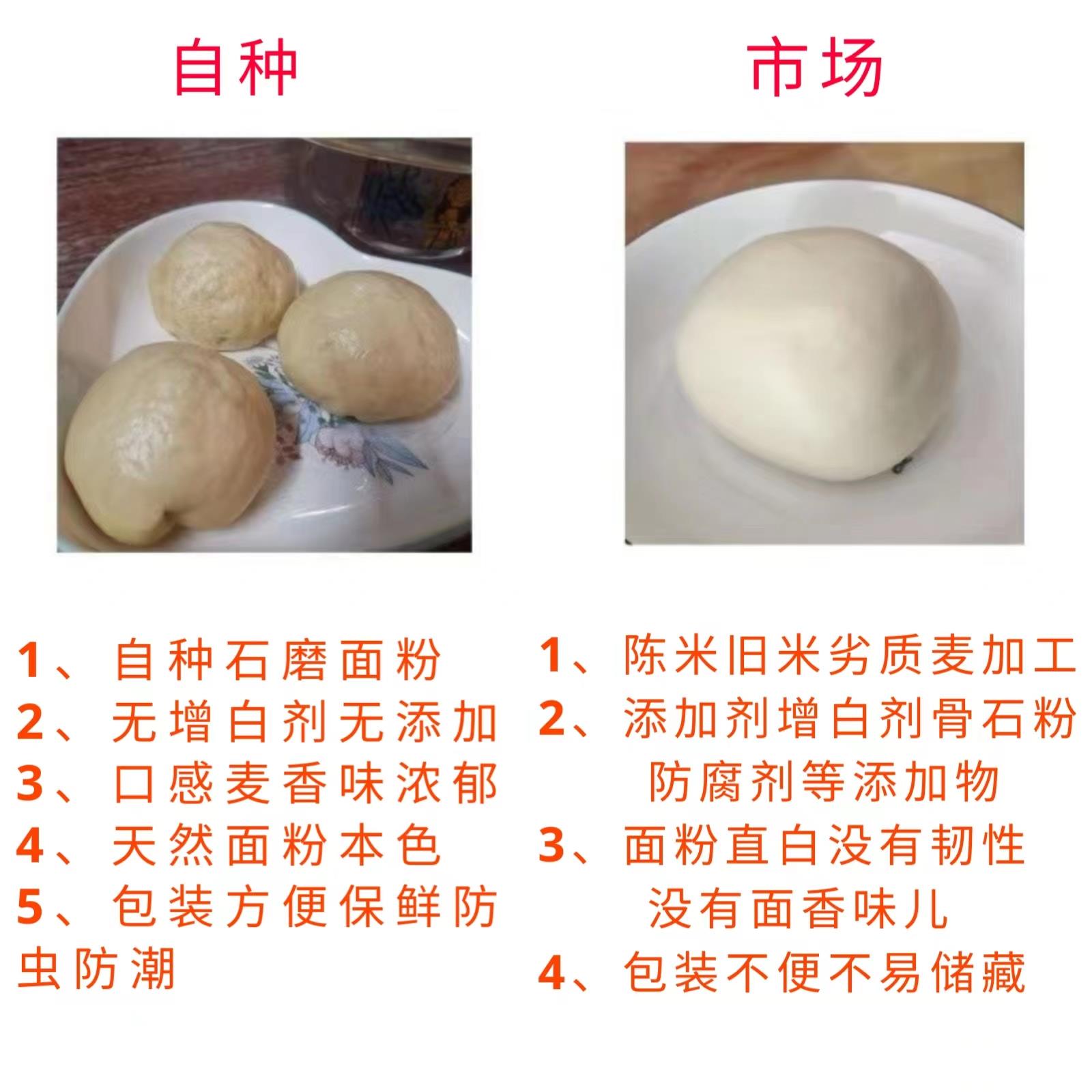 农家石磨小麦面粉家用0年新全麦粉做子饺子面条馒头粉