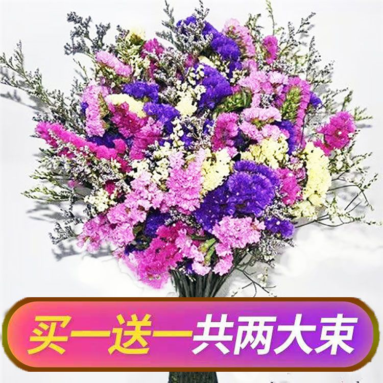 勿忘我干花花束 客厅干花装饰家居装饰摆件 客厅满天星真花干花束