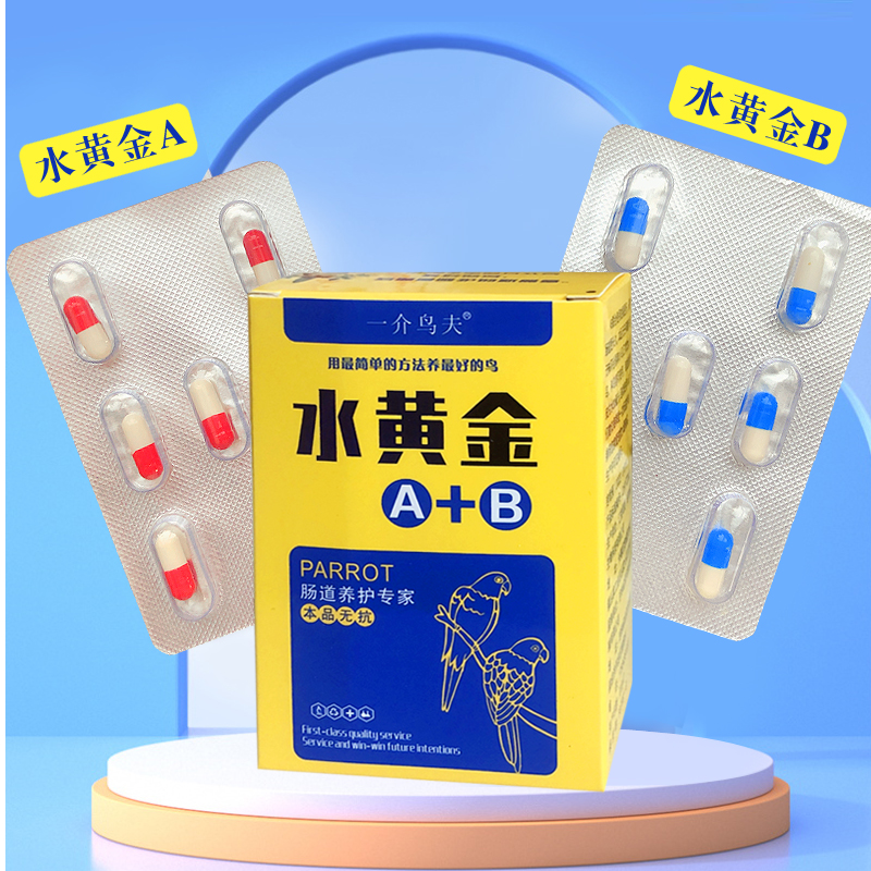 水黄金针对小鸟肠胃不好粪便不成形不胖羽毛无光泽炸毛拉稀水便
