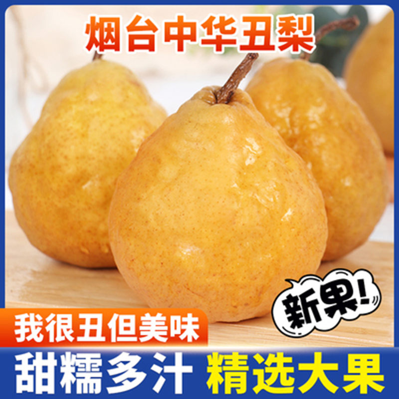 【纯甜无酸】放软中华丑梨正宗烟台新鲜太婆莱阳啤梨大果水果