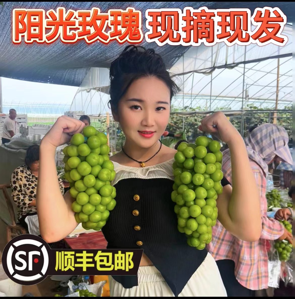 【买3送2】特大果五斤阳光玫瑰葡萄新鲜水果青提多汁甜蜜现摘先发