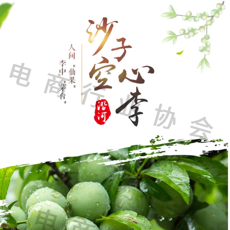 【助农特惠】贵州特产地理标识正宗沿河沙子空心李10斤装（顺丰包邮）