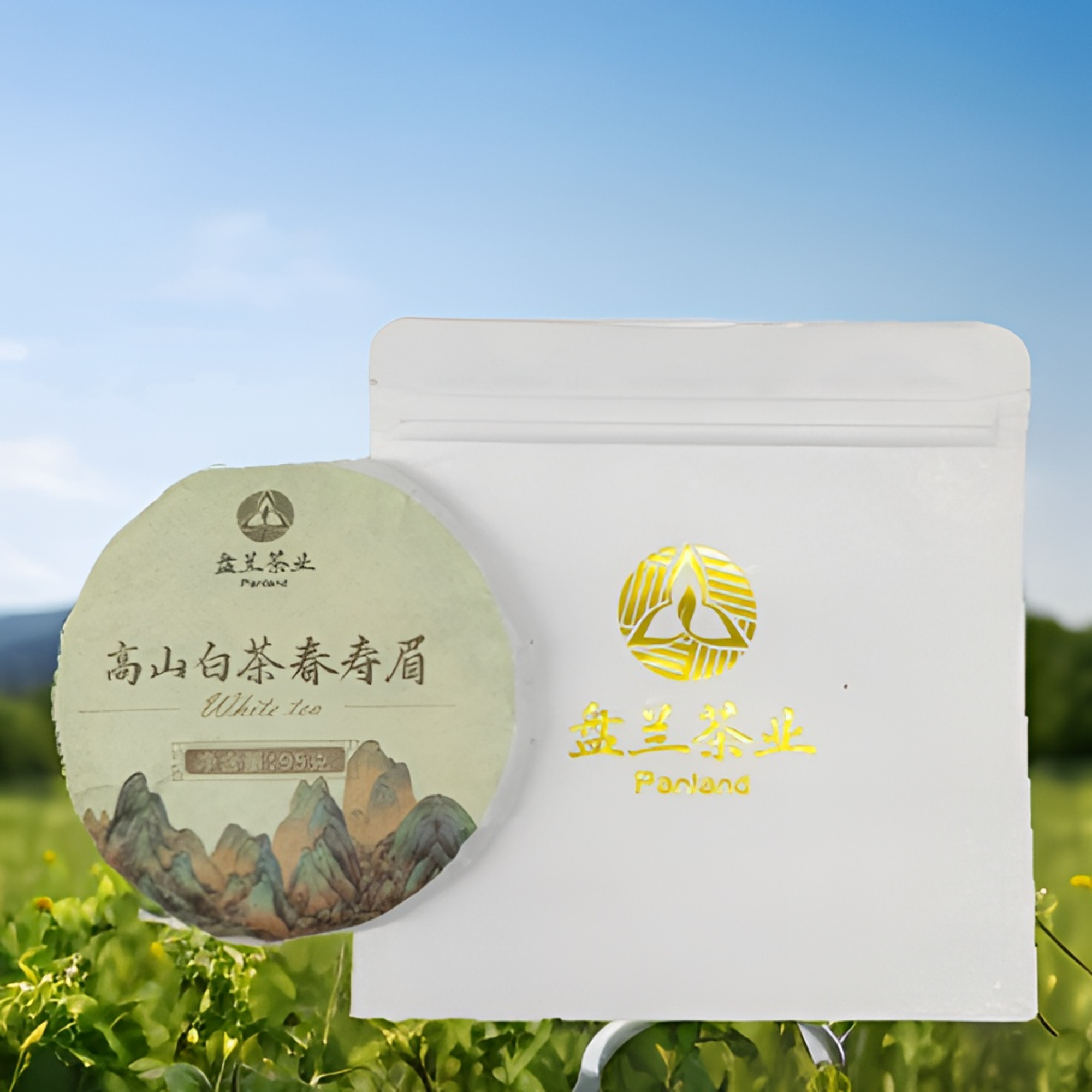 PanLand/盘兰高山白茶春寿眉高香甘甜耐泡耐煮