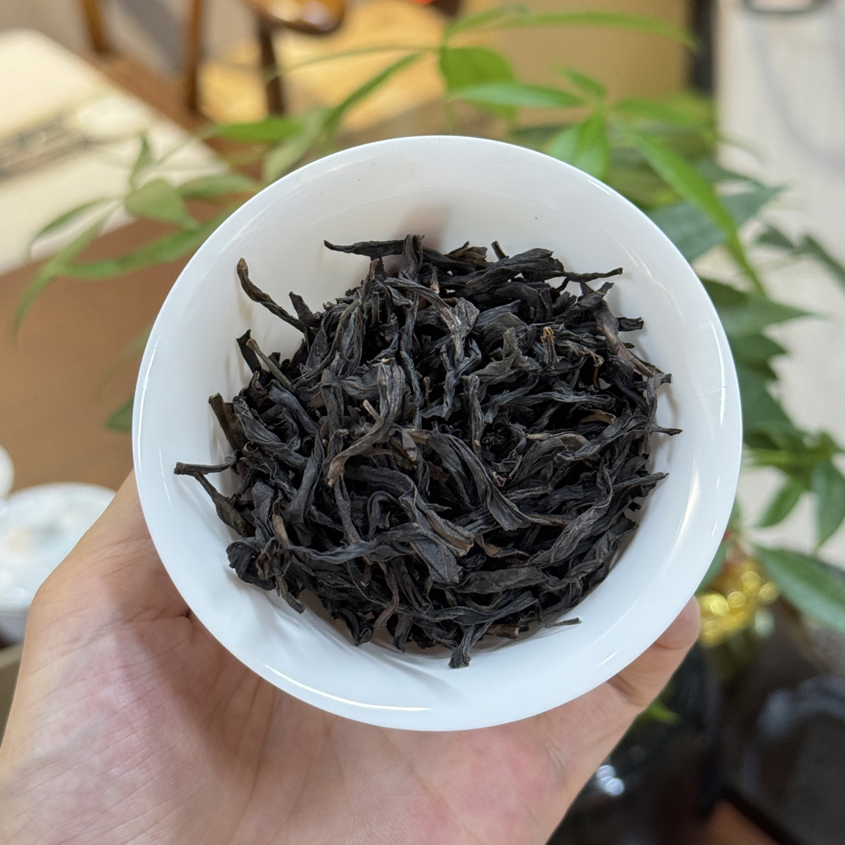 桂花香 潮州凤凰单枞茶 乌岽单丛桂花香 高山乌龙单从茶50 克