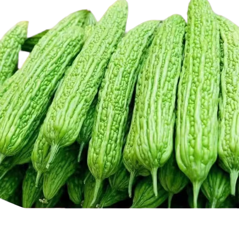 新鲜苦瓜现摘现发农家自种青皮苦瓜新鲜水果500g苦瓜同城送有机食品