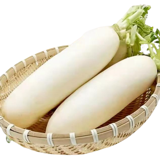 新鲜白萝卜白皮长型萝卜腌泡菜白玉青绿萝卜白萝卜