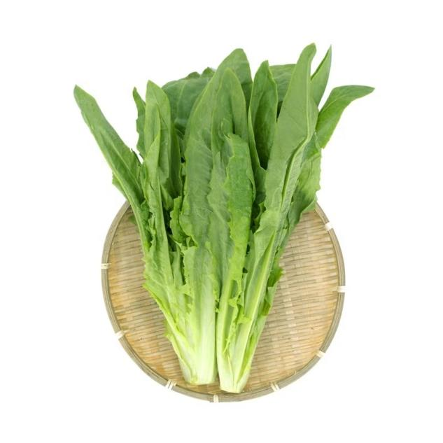 新鲜油麦菜青菜甜脆田园新鲜蔬菜300g【好东西】