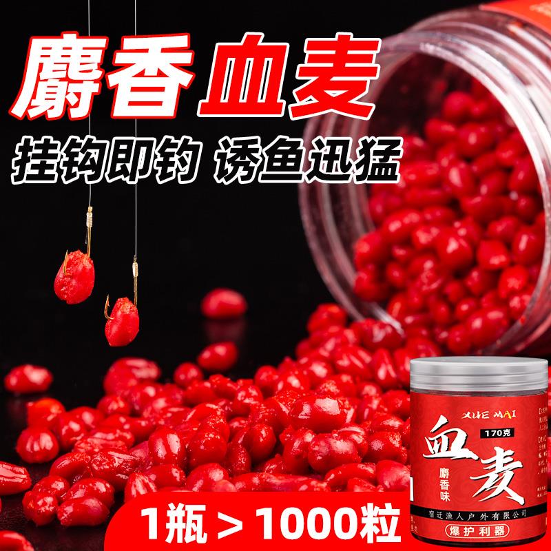 [强烈推荐]谷麦钓血麦粒颗粒鱼料鱼食野钓黑坑鲤鱼青鱼钓饵鱼饵专