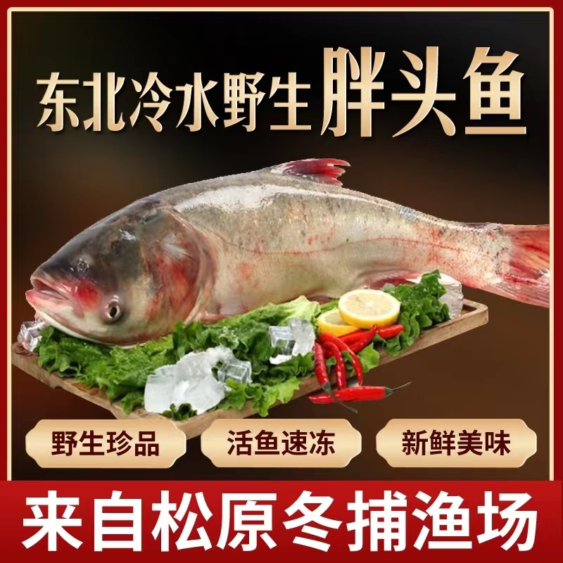 东北冷水野生胖头鱼 7-30斤冷东发货 一条包邮