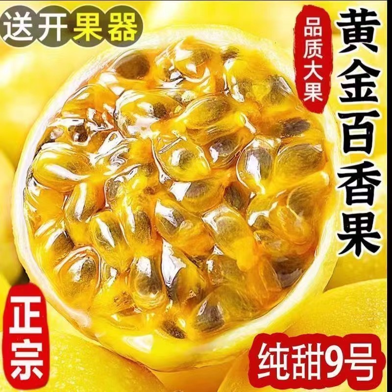 正宗钦蜜九号 产地直发 新鲜现摘 当季应季水果 香甜如蜜送开果器