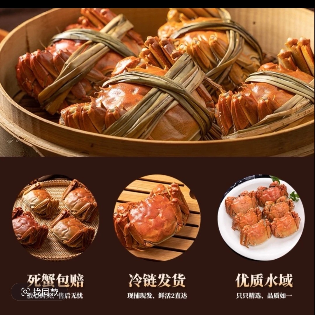 江苏河蟹母蟹8只  单只2.5两一只