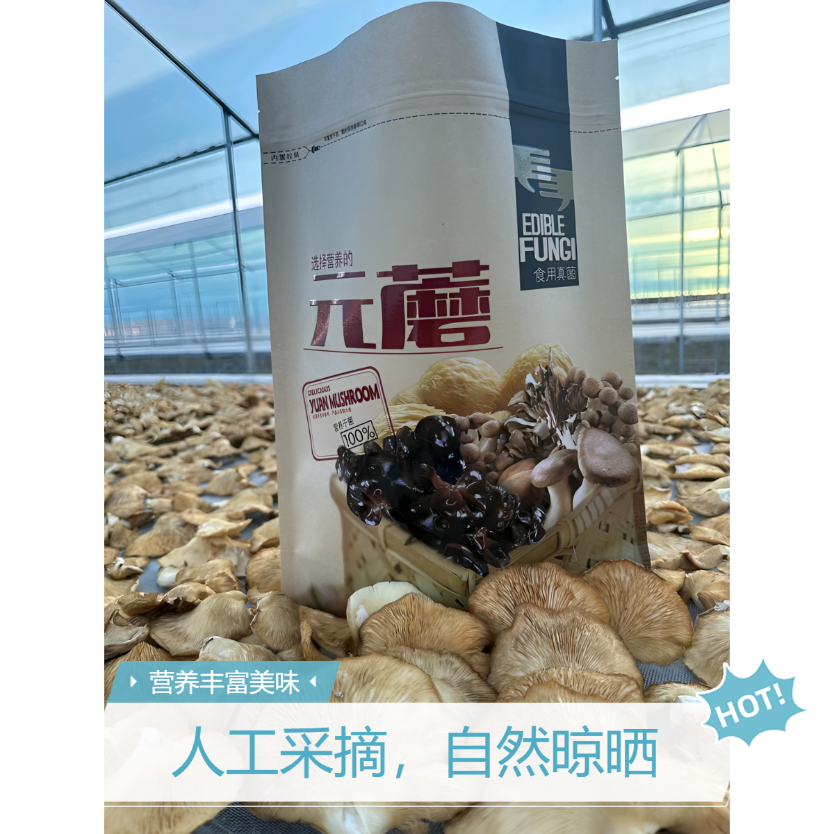 25年新元蘑正宗东北原产地黑龙江鹤岗特产元蘑干货