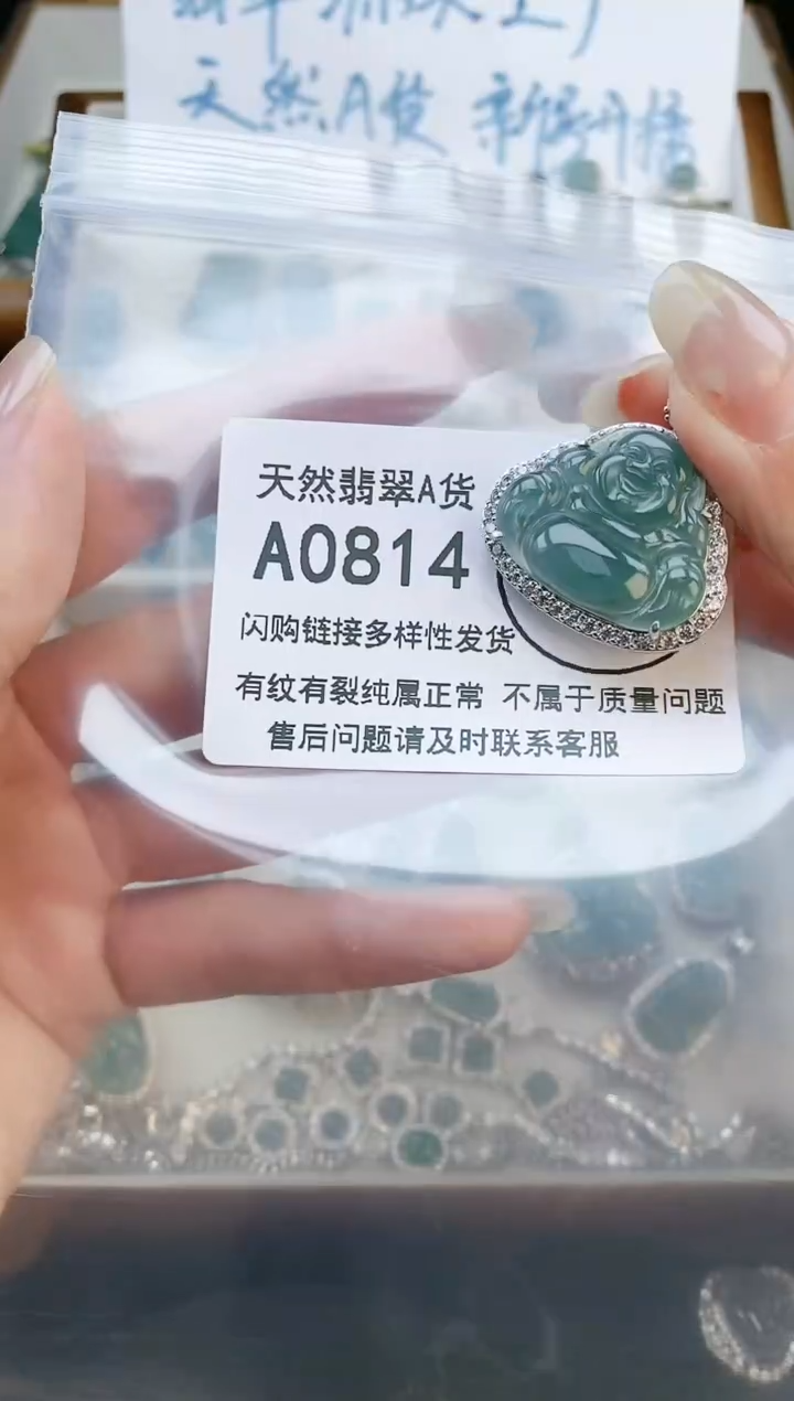 【闪购商品】翡翠颈饰未镶嵌天然翡翠A货888888