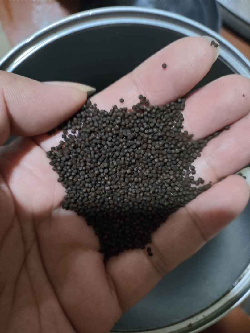 关关金鱼精选鱼食，买一斤送一斤